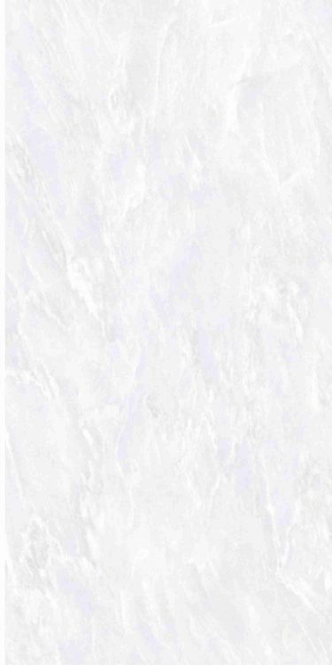 OL Vivid White Polished 12 x 24